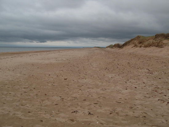 Wir durchfahren einen NP mit schönen Sanddünen...