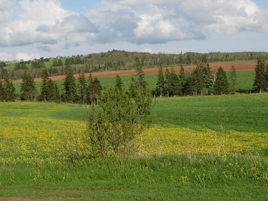 Tollen Landschaften...