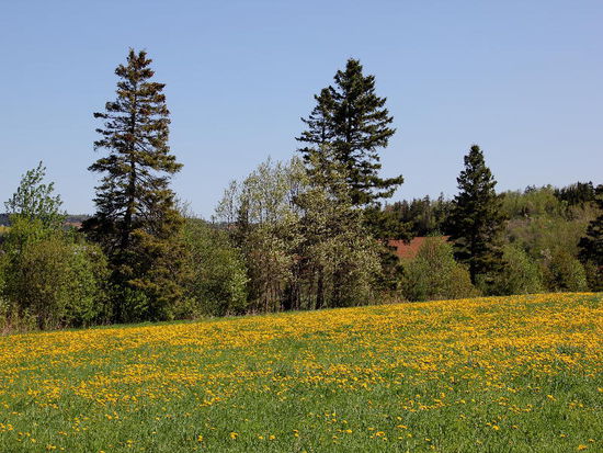 Strahlewetter am nächsten Tag...