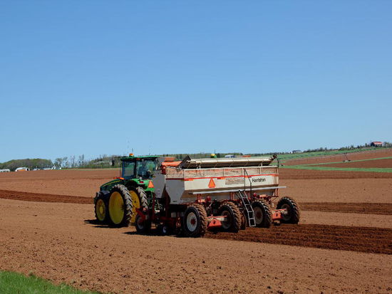 Bestellen des Kartoffelfeldes...