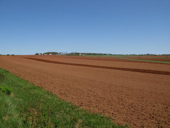 Ganz schön lange Furchen...