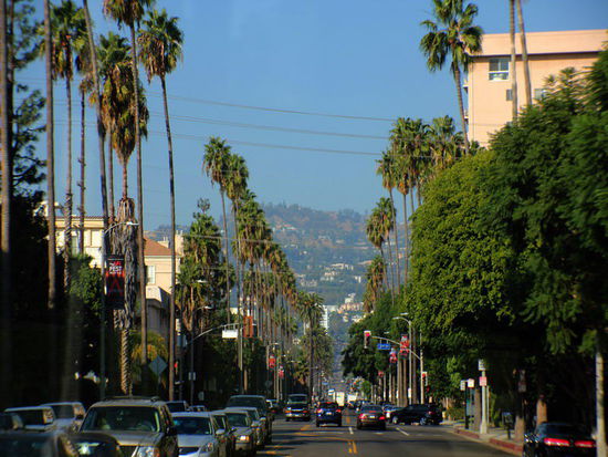 Wunderschön - Palmen gesäumte Strassen...