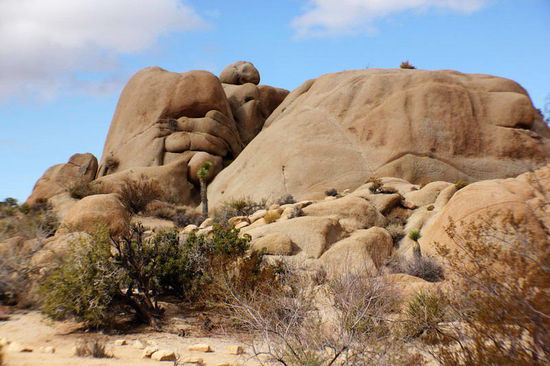 Wirklich imposant, die abgekühlten und durch Erosion freigelegten Lavamassen...