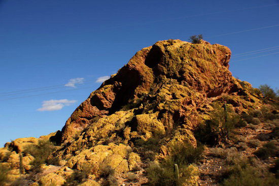 Leider sieht man es auf dem Bild nicht so gut, aber der Felsen ist über und über mit golden schimmernden Flechten belegt...