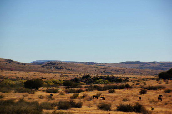 Schönes Hochplateau...
