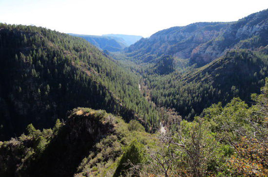 Blick über den Oak Creek Canyon...