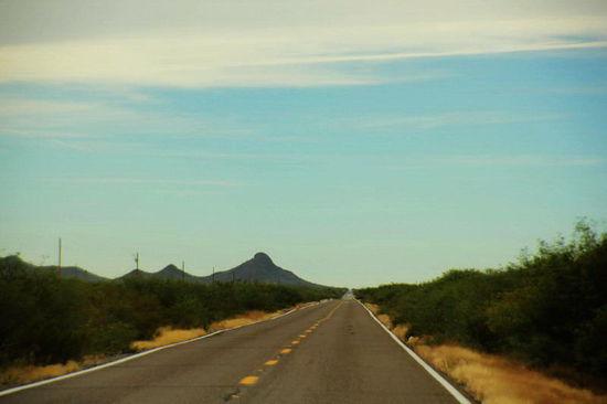 Es scheint, als ob die Strasse nie aufhören wolle...; und dann wird die Signalisation zur langsamen Fahrt angezeigt...; 
eine Kontrollstation - auf der Gegenfahrbahn - von der "Border Control" mit Drogenhunden...; nun wissen wir, wo wir sind und fahren entsprechend vorsichtig...; an der Kontrollstation werden wir durchgewunken...