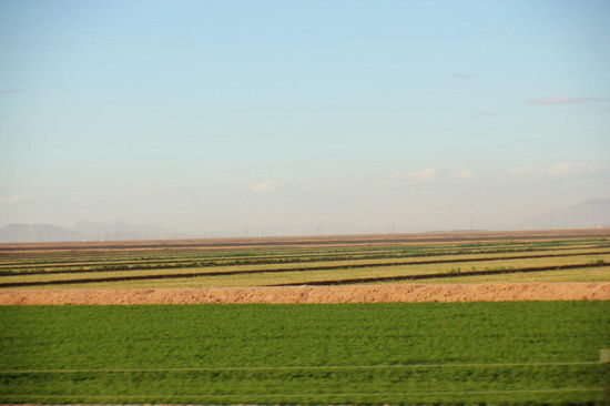 Kurz nach der Kontrolle wechseln wir auf die "Interstate" und fahren an Super-Farmen vorbei...; hier in Arizona befinden sich die grössten Farmen der USA...