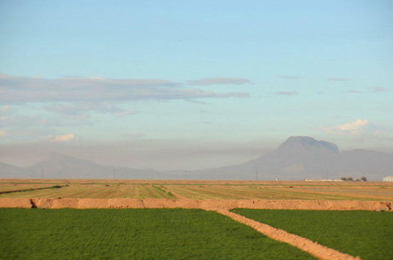 Natürlich alle bewässert...