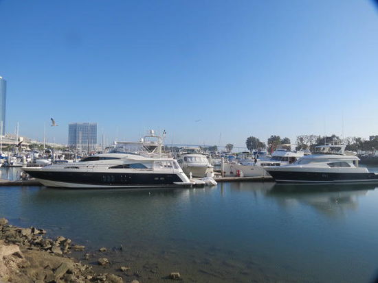 ...im Hafen des Mariott Hotels...