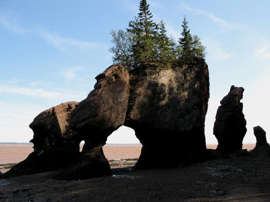 Wir müssen zurück, der Gezeitenplan muss dringend beachtet werden...; und zudem wird der Park um 5 geschlossen...
Im Fundy NP finden wir bei Alma einen hübsch gelegenen CP für 2 Nächte...