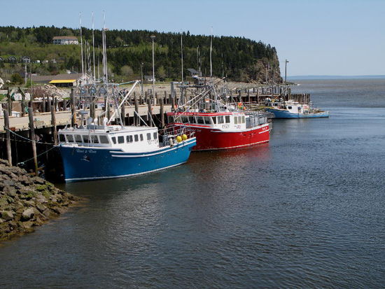 Zuerst erkunden wir die Umgebung...