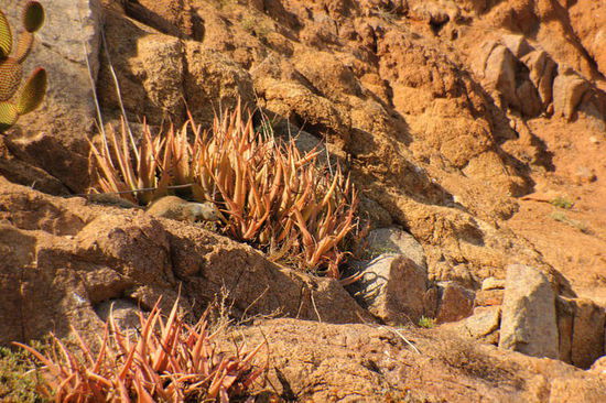 ...samt deren Bewohnern...