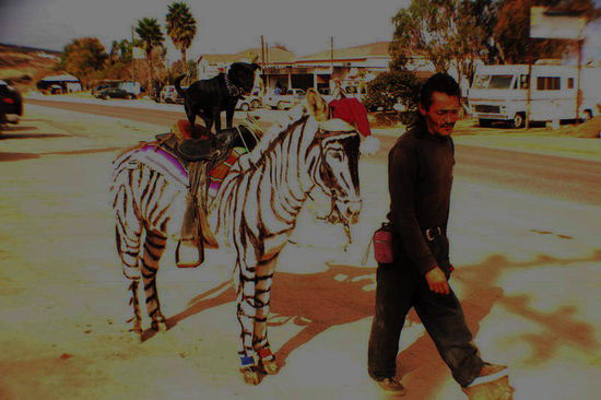 Bremer Stadtmusikanten...!