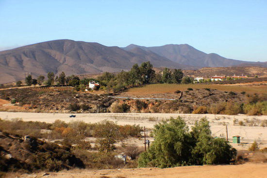 Und wo Wasser ist, wird auch angebaut...