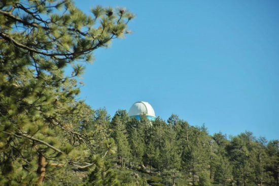 Wir verabschieden uns und Carlos zeigt uns noch eine Besonderheit in "seinem Revier"...