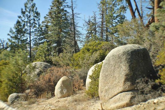 Wer hat die wohl hergekarrt...?