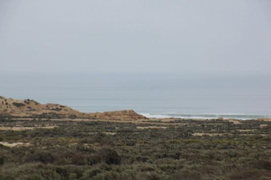 Die Strasse führt zuerst dem Pazifik entlang... - neblig!