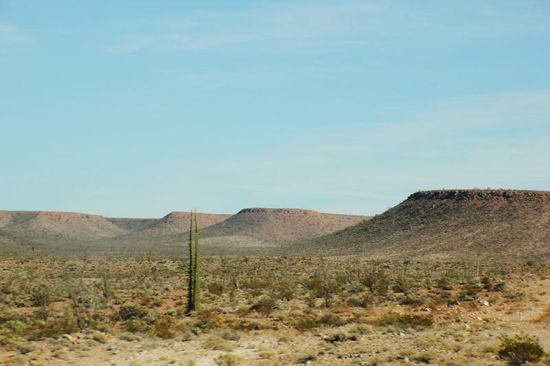 Die Landschaft ist vielfältig - vor uns Tafelberge...