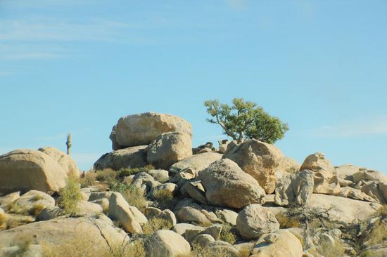 Woher die wohl alle stammen mögen...?