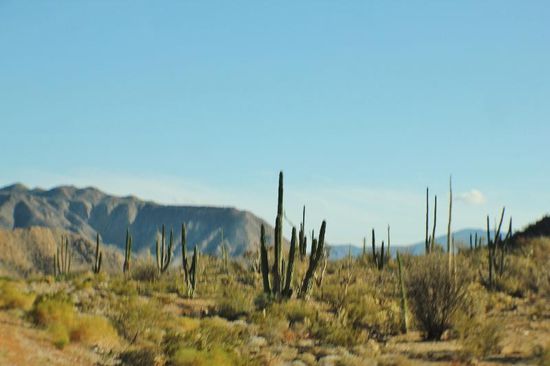 Kurz vor Parador Punta Prieda beschliessen wir spontan, an den Golf von Kalifornien nach Bahia de los Angeles zu fahren...