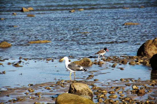 Wir verbringen 2 Tage hier und haben...