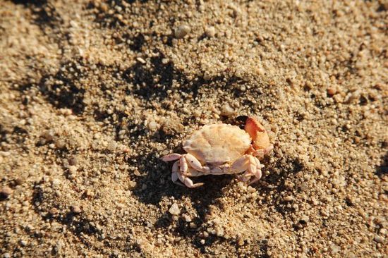 ...viel zu entdecken...