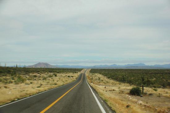 Vier Nächte haben wir in Guerrero Negro verbracht, den Haushalt gemacht und etwas ausgeruht...; ursprünglich wollten wir zur Bahia de Tortugas fahren, unterwegs haben wir die Pläne geändert...