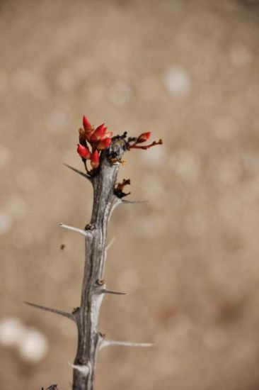 ...mit herrlichen Beobachtungen...