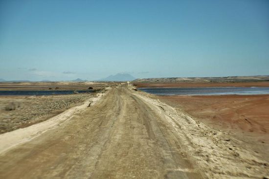 Und schon geht es wieder zurück...; noch keine Wale in Sicht..!