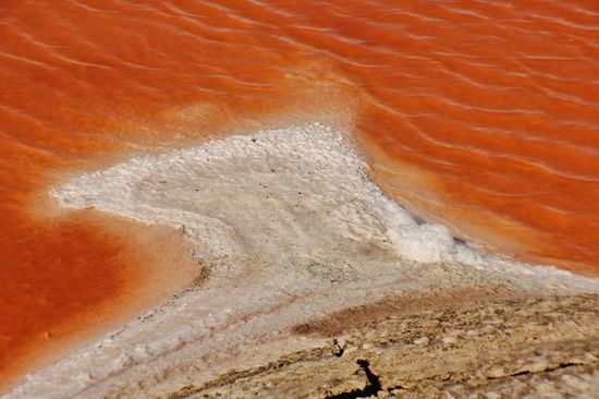 Bakterien am Werk...!