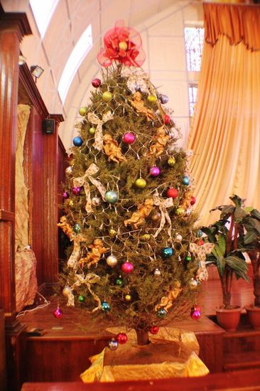 Schon bald ist Weihnachten...