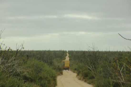 Von San Carlos fahren wir ein Stück des Weges zurück und biegen auf eine Piste ein...; 4 x 4 ist angesagt...