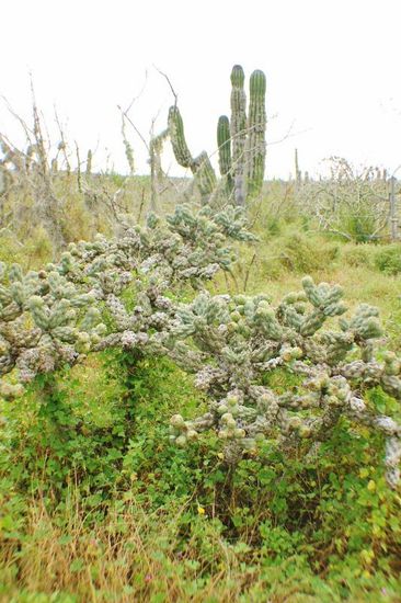 Die Vielfalt der Natur lässt uns immer wieder anhalten...