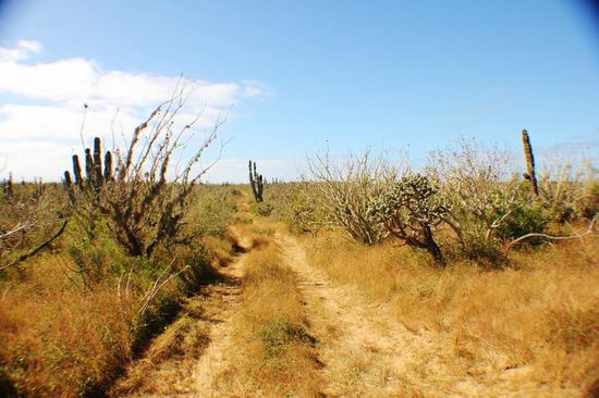 Es führt ein Weg nach "Nirgendwo"...; den nehmen wir nicht...