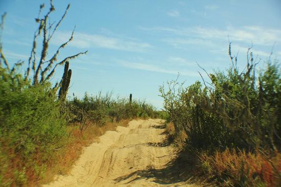 Diese Buckelpiste nehmen wir in Angriff...; wenn ich bedenke, dass hier rennmässig gefahren wird...!