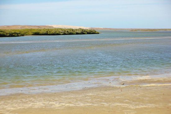 Gemäs GPS fahren wir schon eine Weile "durchs Wasser"...; und da sind wir wieder am Pazifik...