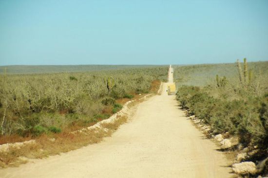 Wohl ein spannender Streckenabschnitt bei der Baja-Rally zum Überholen...; hier wird die Strasse steinig, hart und z.T. sind tiefe (gefährliche) Wasserfurten und Löcher in der Strasse...