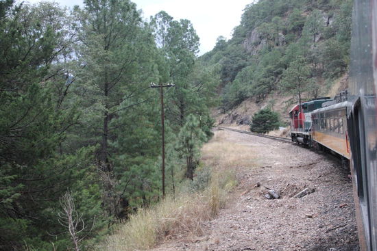 Endlich verlassen wir den Schnee...