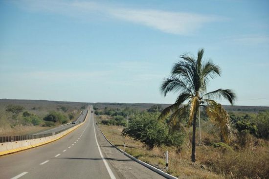 Gegen Abend treffen wir in Mazatlan ein und beziehen einen sehr schönen CP direkt am Pazifik...