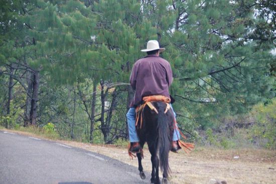 Zur Abwechslung mal ein anderes Verkehrsmittel...