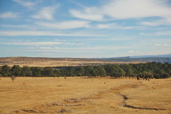 Gegen Abend treffen wir in Durango ein...; CP gibt es hier keinen...; bei einer Pemex-Tankstelle wird uns erlaubt, die Nacht zu verbringen...; allerdings - von 19 - 23 h werden hier die städtischen Busse gewaschen und aufgetankt...; wir sind bereits um 21 h im Bett, Ohrstöpsel rein und gute Nacht...!