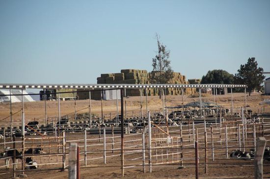 ...eine Farm mit vermutlich mehreren hundert Kühen und entsprechenden Futtervorräten...