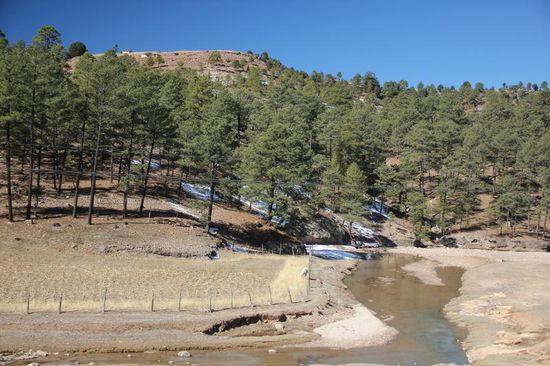 Der Wetterbericht verspricht gutes Wetter für die kommenden Tage...