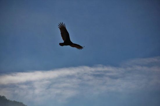 ...zwischendurch einen Blick hinaus...