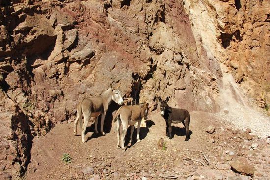 Beäugt wird man immer irgendwo...; was die wohl denken mögen...?