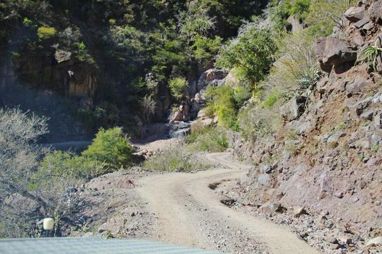 Schüttel, rüttel...  - rund 60 km Schotterpiste sind bis Batopilas zu befahren...