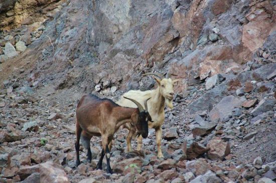 Bei einer kleinen Siedlung mit rot gedeckten Hausdächern müssen wir nach links abbiegen...; da gibt es nichts zu meckern...
