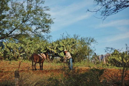 Für ihn wohl kein Problem...!