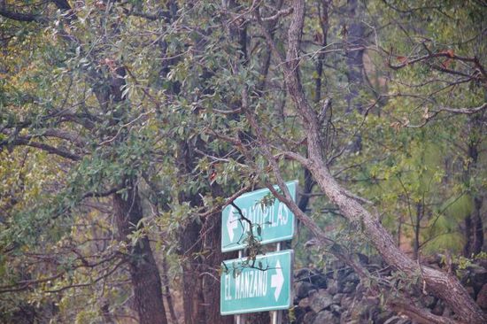 Der Wegweiser nach El Manzano...! - Das Problem: Es gibt 2 Strassen, die in diese Richtung führen, die Eine nach oben, die Andere nach unten...! Es stellt sich die Frage: Welche nehmen wir...? Wir entscheiden uns "nach oben"...